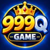 999Q Game
